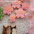 猫ちゃんのお花見＊桜咲いた！