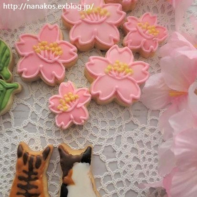 猫ちゃんのお花見＊桜咲いた！