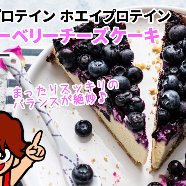 【お徳用5kg】プロテイン ブルーベリーチーズケーキ マイプロテイン