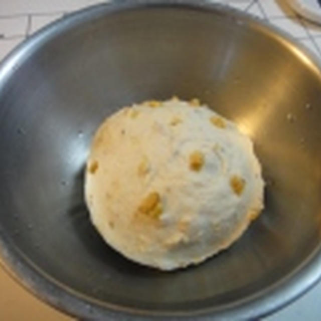 ホシノ酵母日記　***　クルミパン　***