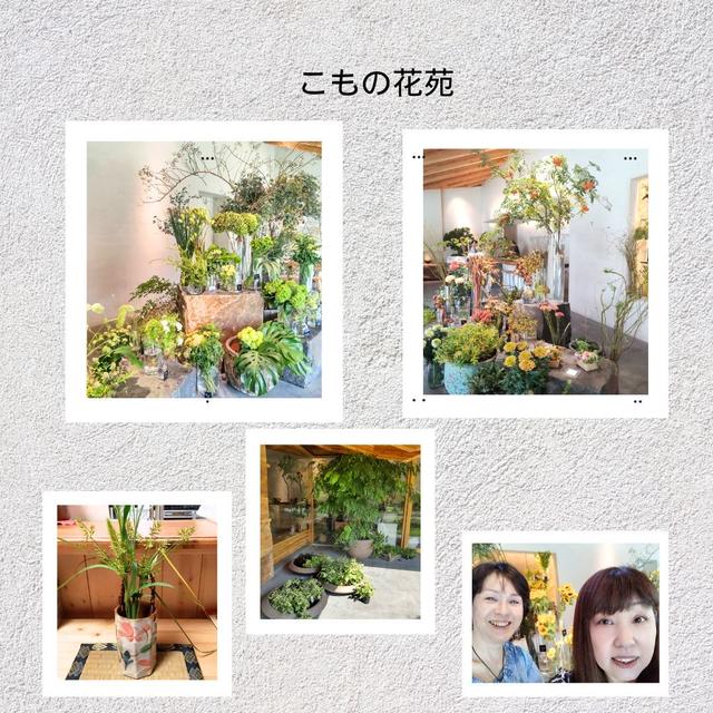 こもの花苑に行きました