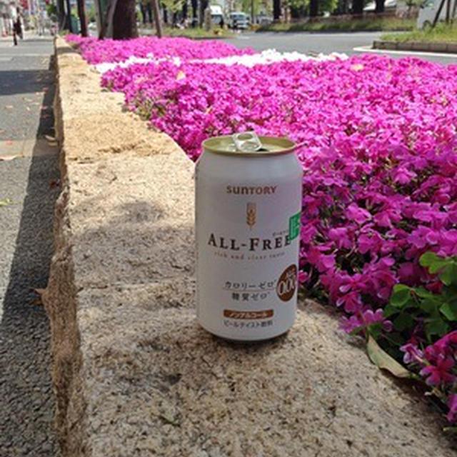 散歩のお供