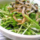 水菜