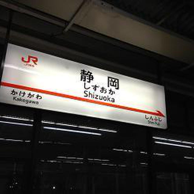 静岡で巨大「生桜エビのかき揚げ」を頂きました！