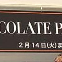 チョコレート好きにとってのパラダイス！西武池袋本店「チョコレートパラダイス2012」前夜祭