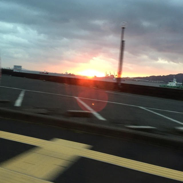 唐戸市場へ行って来ました