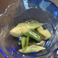 【油大さじ1でヘルシー】茄子とピーマンのやきびたし