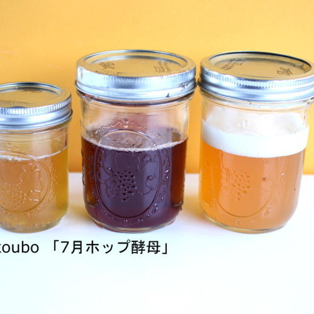 7月から「夏のホップ酵母」でパンを焼く
