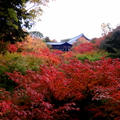 京都日帰り旅行