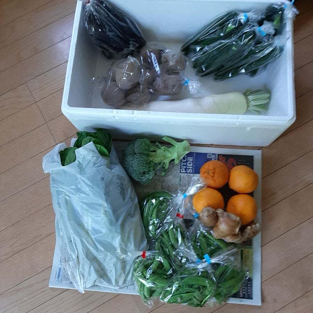 タケノコあったけれど、もう冷凍庫いっぱいだからやめた。農家