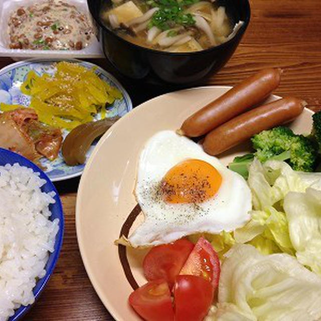 休日の朝ご飯。カレースパゲティ。眠るあんこ