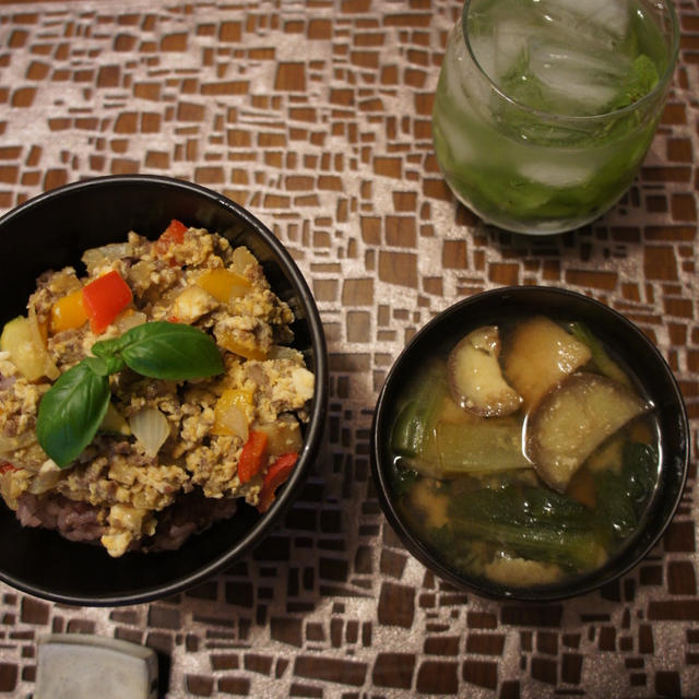 カラフルスタミナ丼と昨日の焼き鮭１プレート♪