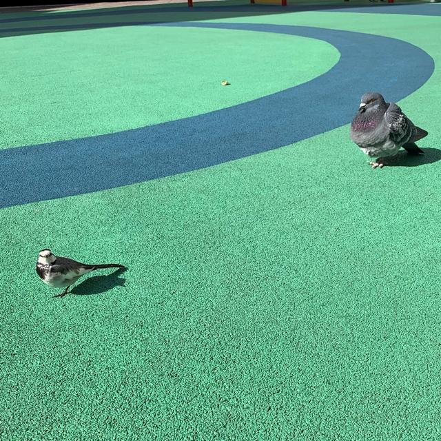今日一番笑ったこと