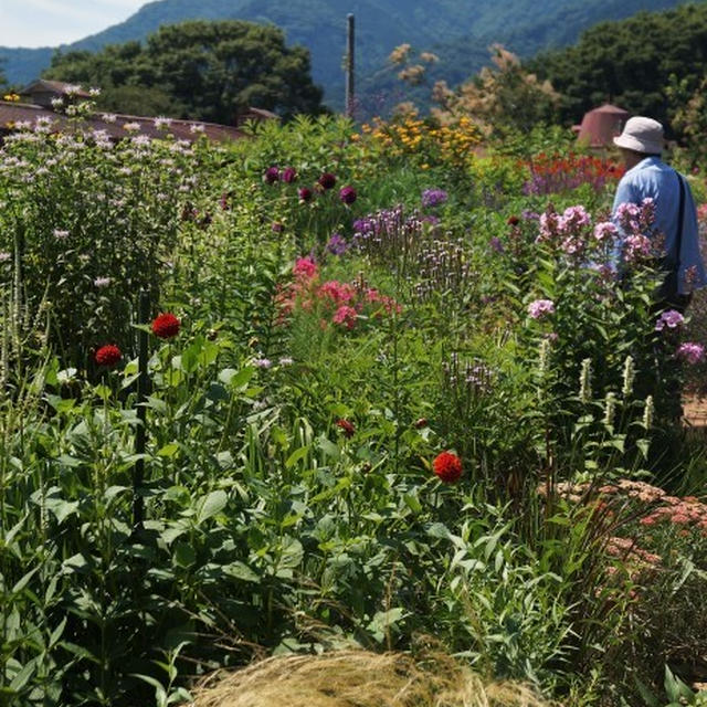 ■ウォーキング【愛川町・服部牧場に有る拘りのペレニアルガーデン】