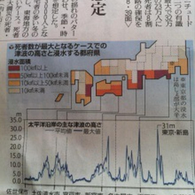 南海トラフ巨大地震