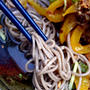 Cold Soba Noodle with Peppers甘辛ピーマンのせ冷やしそば
