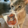 KALDIのハロウィンロリポップチョコレートの中にわか坊がいた