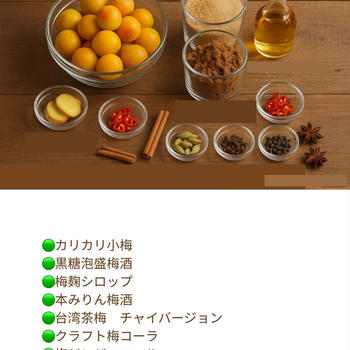 梅仕事を終えて、いざマレーシアへ