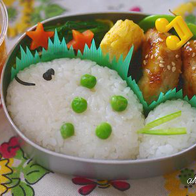 さかなのお弁当