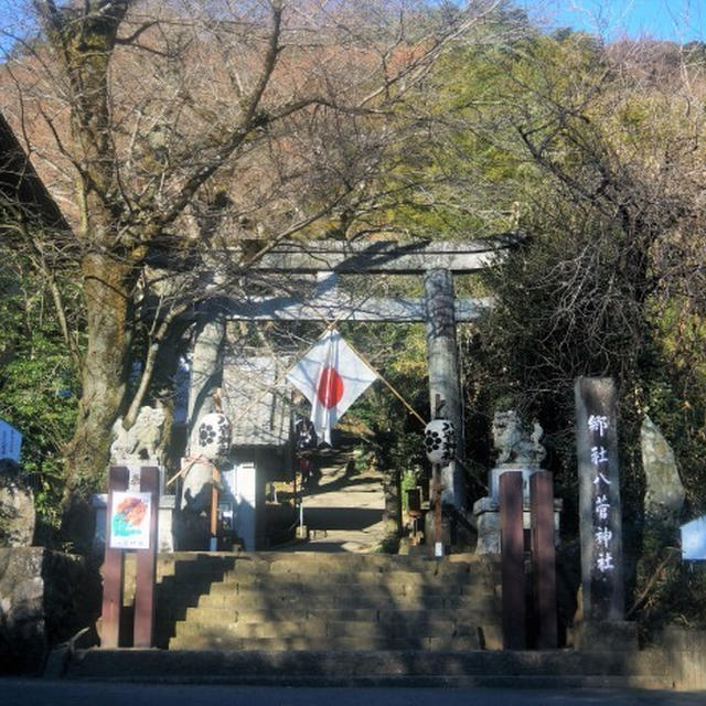 ■【初詣は　地元の八菅神社に徒歩で／アメリカ在住の孫からのサプライズ♪】