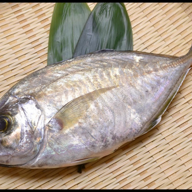 今日の魚 カイワリ By Wnk Shoさん レシピブログ 料理ブログのレシピ満載