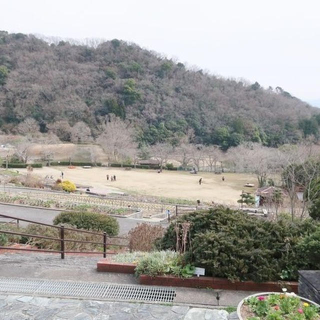 緑花センターと道の駅～