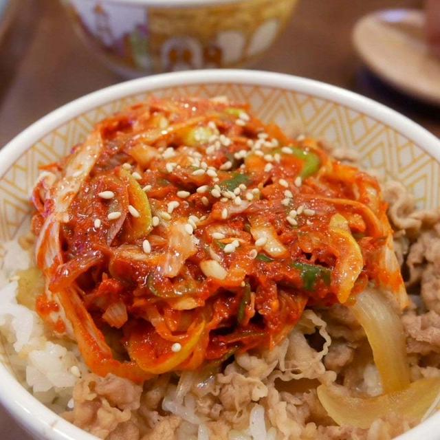 すき家のネギキムチ牛丼#私のごはん