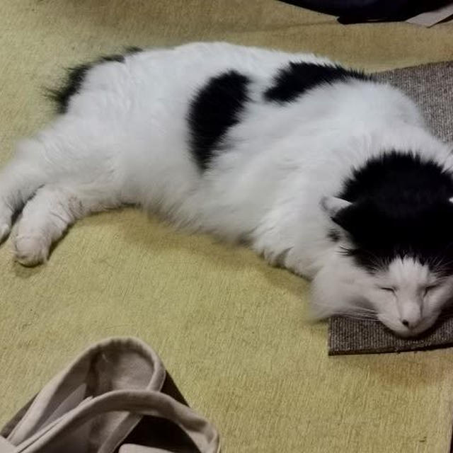 待ちくたびれて...