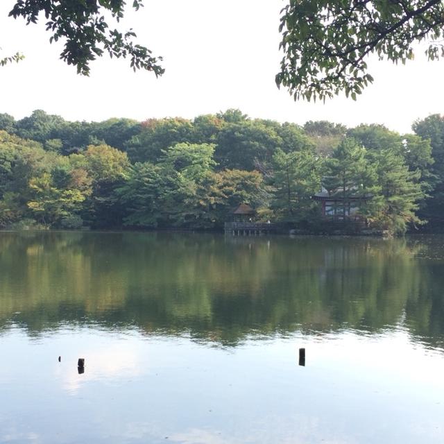 石神井公園へ。。