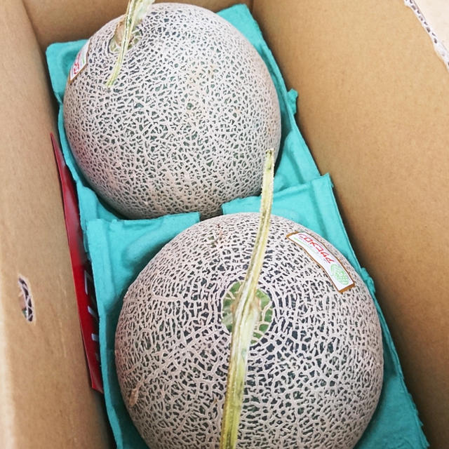 ＊めろめろメロン＊