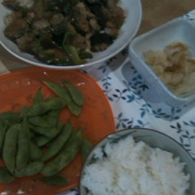 0708鶏とナスの照り焼き