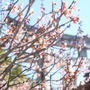 太宰府へ