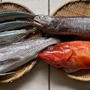 魚のお取り寄せ＿2021年9月 　♪秋刀魚の炙り刺身と塩焼き♪