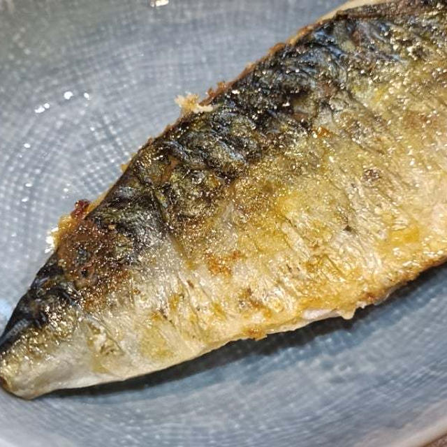 やっぱりこの鯖おいしい～と大絶賛でした(*^O^*)