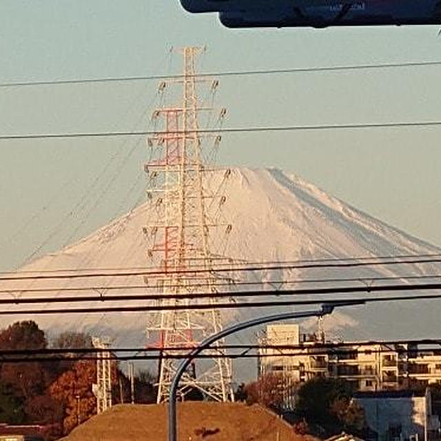 富士山とメゾンカイザーと崎陽軒の「おべんとう冬」