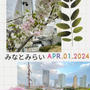 【お花見散策・2024】花と緑とガーデンベア～春の横浜みなとみらい