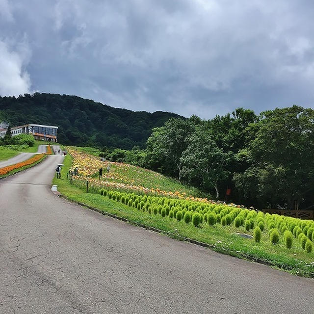 新潟旅行　湯沢高原へ
