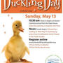 Duckling Day Parade