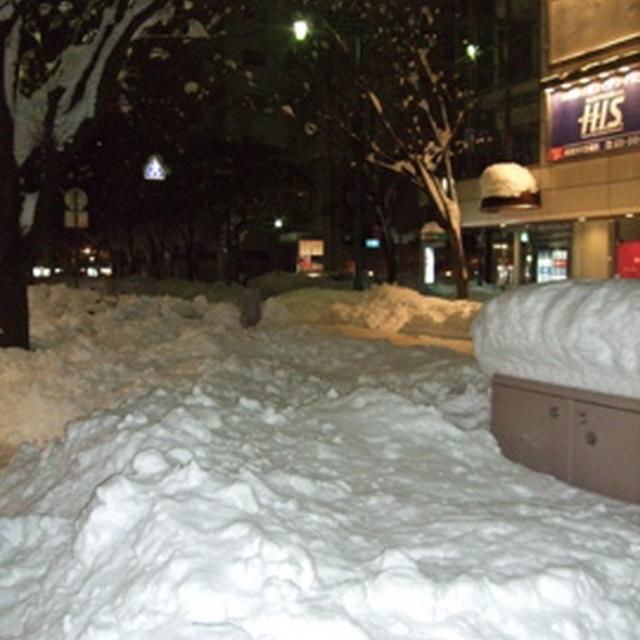 27年ぶりの大雪の中、食の陣へ