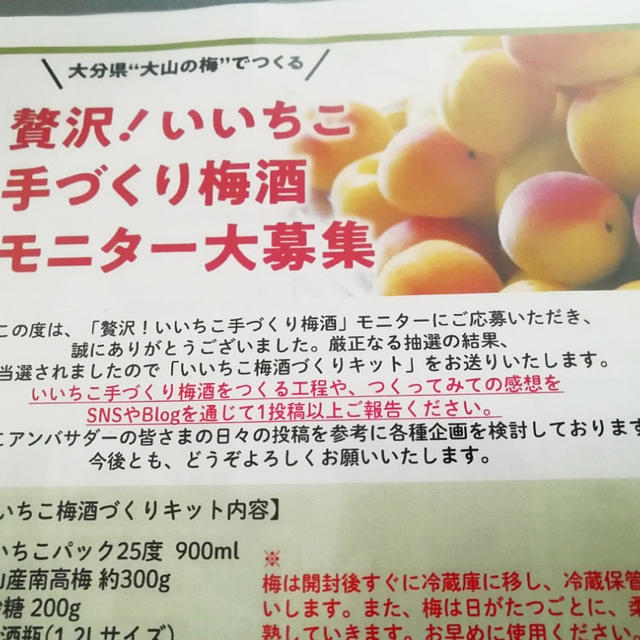 贅沢！いいちこ　手作り梅酒モニター