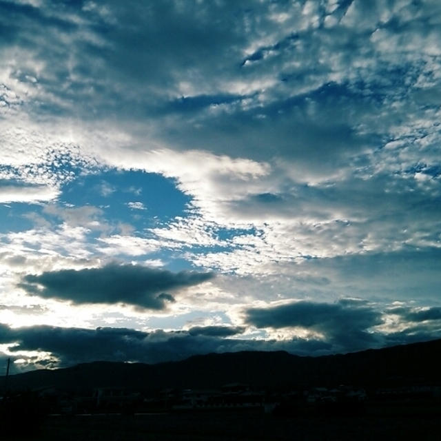 早くも台風一過♪と台風と一緒にやって来た物(*´艸｀)♪
