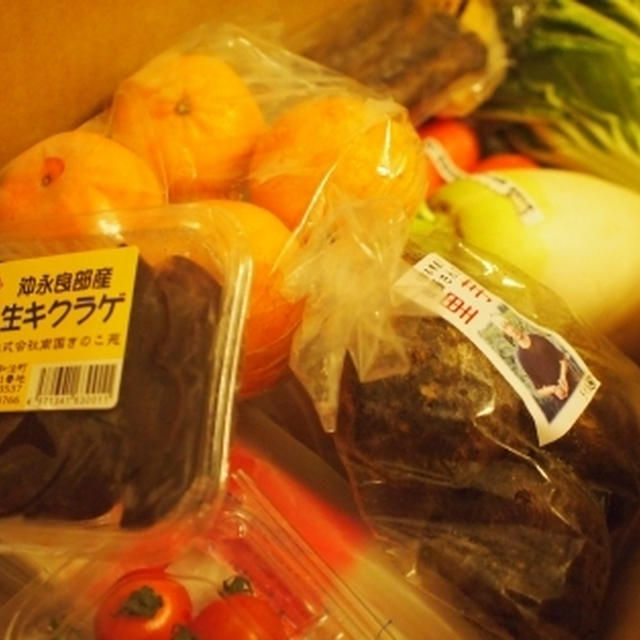 快適通販生活のはずが