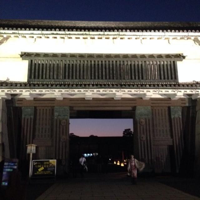 京都小旅行・夜の部　二条城・アートアクアリウム