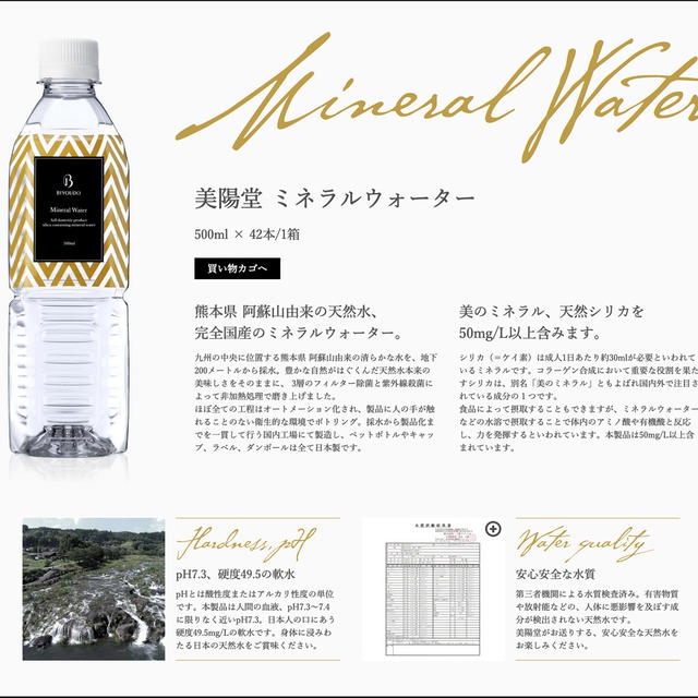 シリカ含有ミネラルウォター　1本あたり54.3円 　送料無料2,280円　BIYODO　