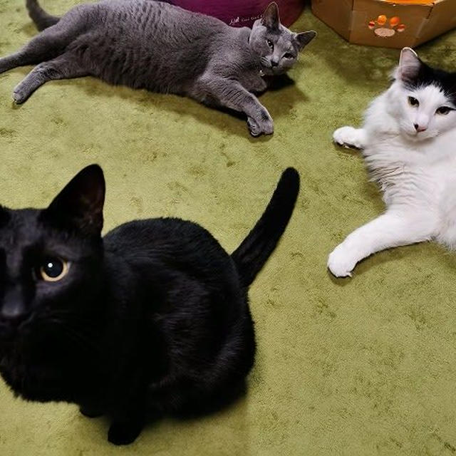 圧力×３