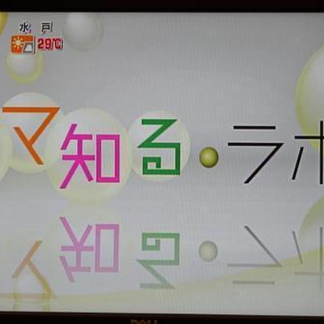 テレビ出演★秋のコンビニスイーツ★今日放送でした　テレ朝「グッド！モーニング」