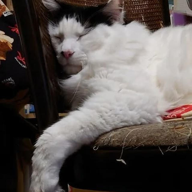 寝落ち