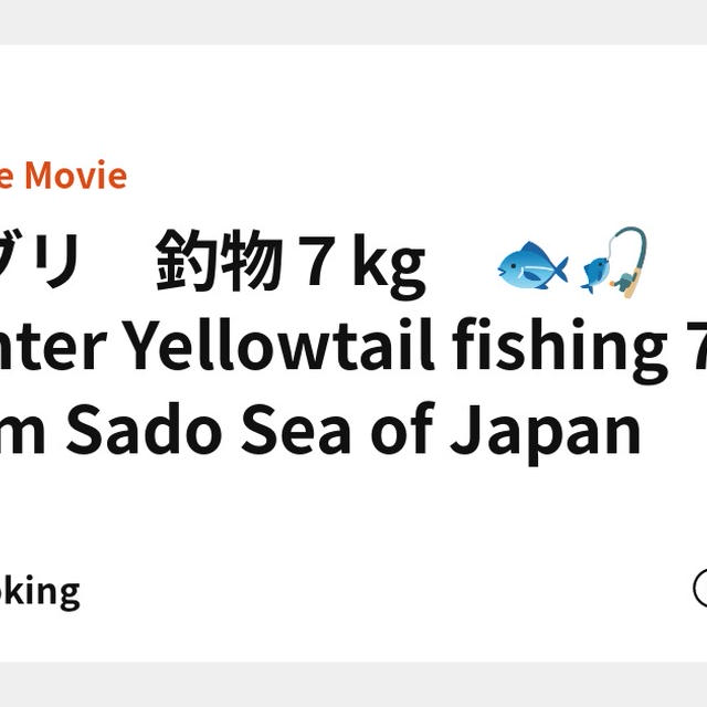寒ブリ　釣物７kg　🐟🎣Winter Yellowtail fishing 7kg from Sado Sea of Japan