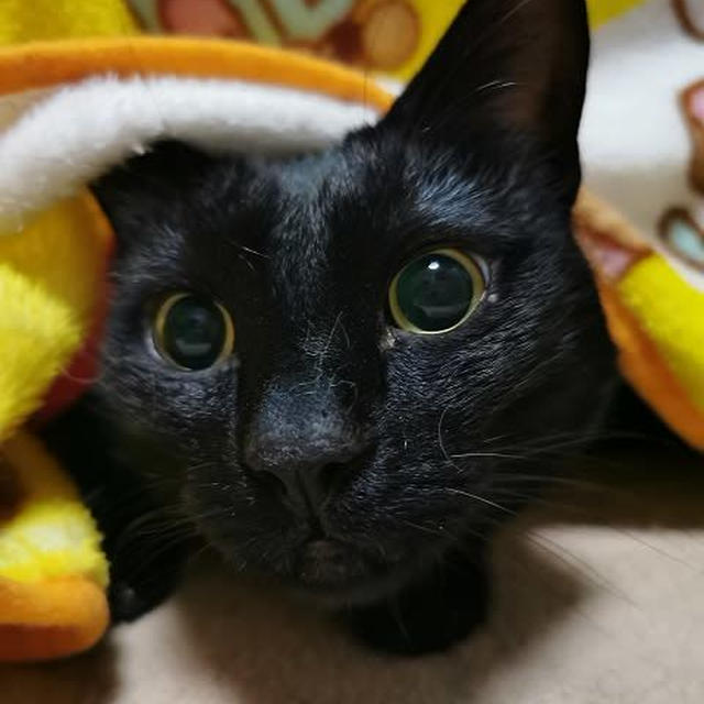 ぐっすりと寝て