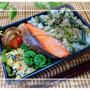 わらびご飯(灰汁抜きレシピ付)  五目出し巻き卵(ひじき・人参・こごみ)　こごみの昆布茶まぶし